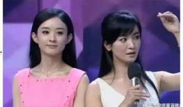 随风电视剧免费观看全集高清版 
