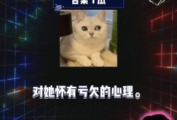  [][][] 群机器人安卓版 
