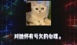  [][][] 群机器人安卓版 