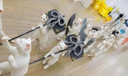 消消乐吃鸡手游 